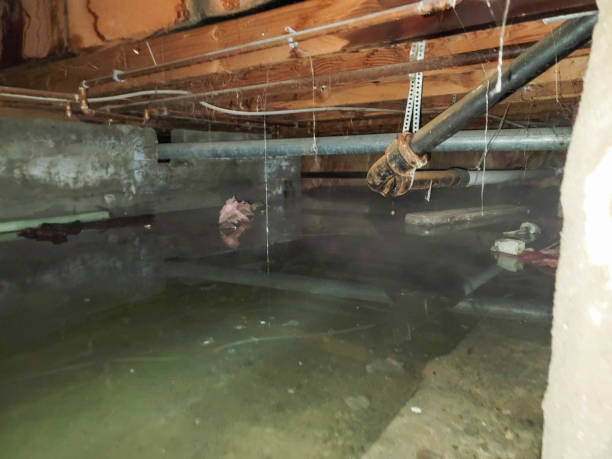 Best Water damage contractors near me  in Enigma, GA