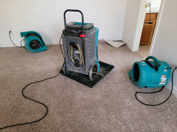 Best Water damage cleanup near me  in Enigma, GA