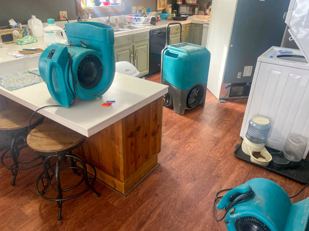 Best Carpet water damage restoration  in Enigma, GA