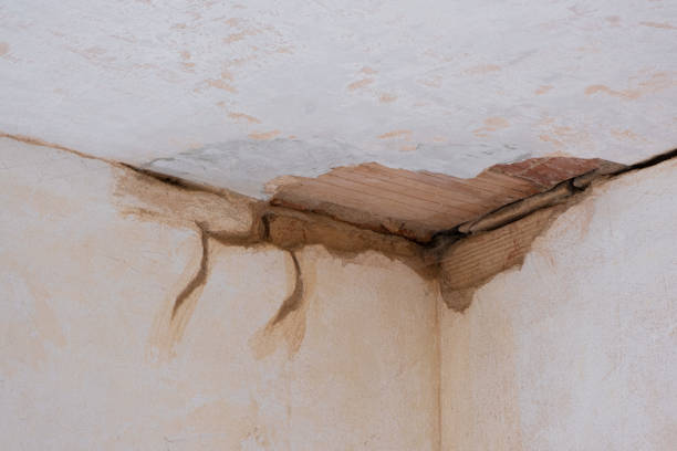 Best Water damage restoration near me  in Enigma, GA