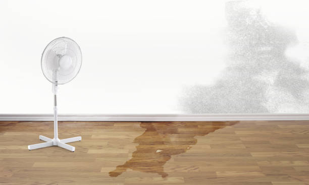 Best 24-hour water damage restoration  in Enigma, GA