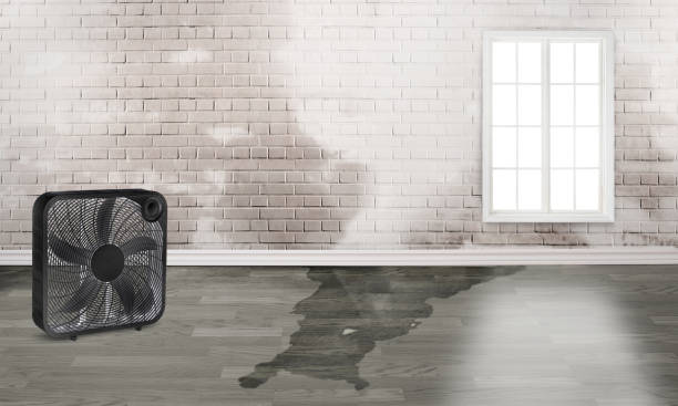 Best Flood damage cleanup  in Enigma, GA