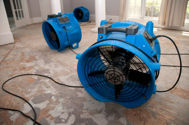  Enigma, GA Water damage restoration Pros