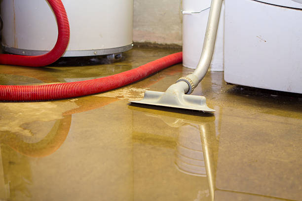 Best Local water damage restoration  in Enigma, GA
