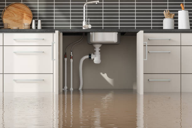Best Flooded house restoration  in Enigma, GA