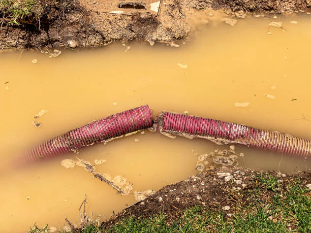 Best Flood damage cleanup  in Enigma, GA