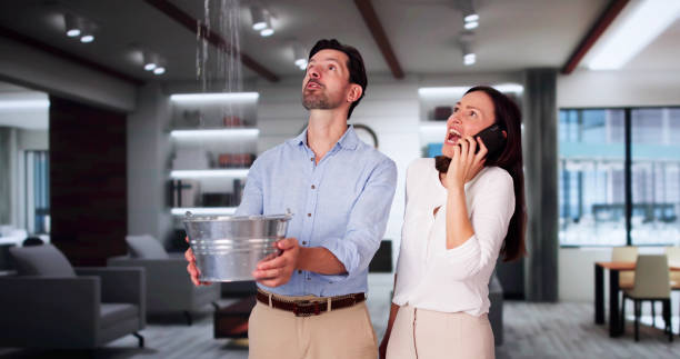 Best Basement water damage restoration  in Enigma, GA