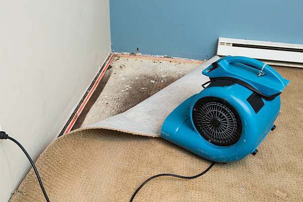 Best Commercial water damage restoration  in Enigma, GA